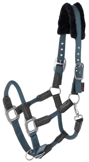 Covalliero Halfter Cordano