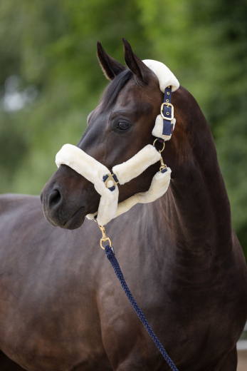 Covalliero Halfter SuperSoft