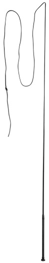 Kerbl Longierpeitsche 160 cm