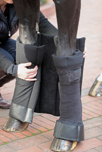 Covalliero Bandagier-Pads