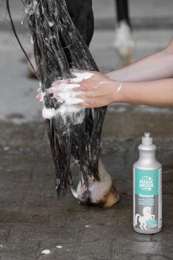 MagicBrush Pferdeshampoo mit Weizenproteinen
