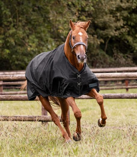 Outdoordecke NORDIC 100g