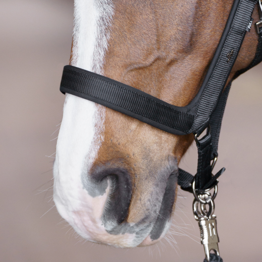 Halfter HVP-Essential – Anatomisch geformt, gepolstert und verstellbar