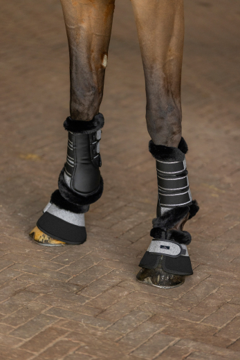 HV Polo Hufglocken Francis