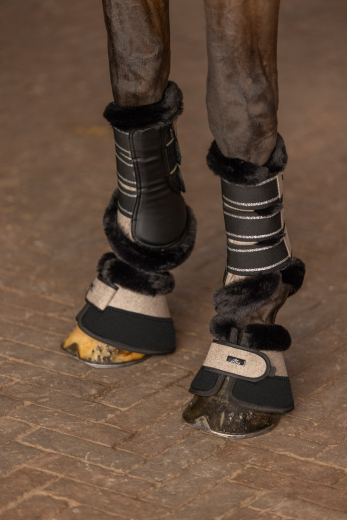 HV Polo Hufglocken Francis