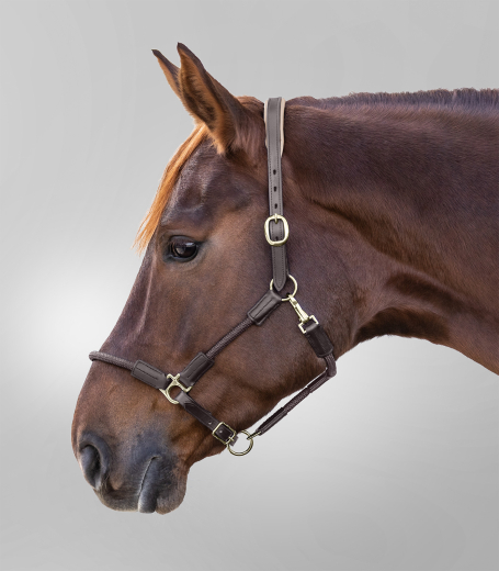 X-Line Lederhalfter Nevada