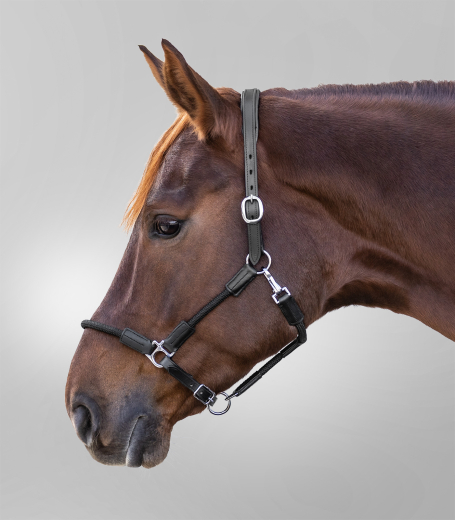 X-Line Lederhalfter Nevada