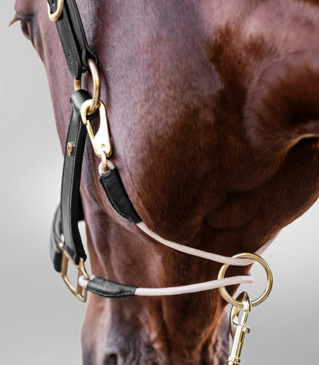 S-Line Lederhalfter Royal