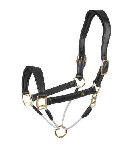 S-Line Lederhalfter Royal