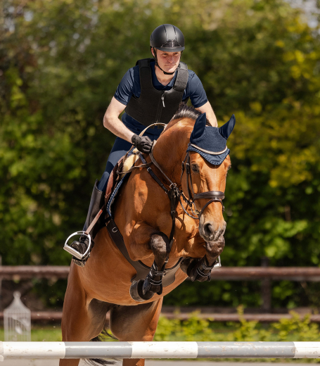 SWING Bodyprotektor P24 Max