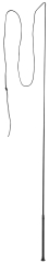 Kerbl Longierpeitsche 160 cm