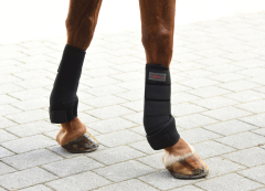 Covalliero Fesselkopfgamasche