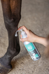 MagicBrush Kühlbalsam Equifresh