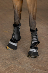 HV Polo Hufglocken Francis